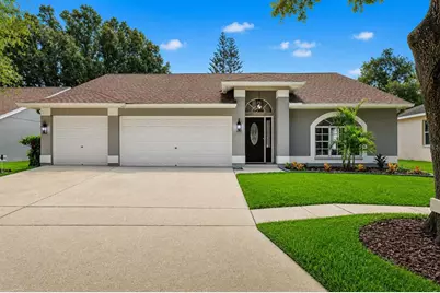 17721 Hampshire Oak Drive, Tampa, FL 33647 - Photo 1