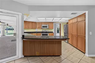 10 Linden Ln, Palm Harbor, FL 34683 - Photo 19