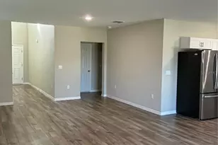 7553 Peace Lily Ave, Wesley Chapel, FL 33545 - Photo 5