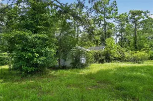 119 Chambliss Rd, Havana, FL 32333 - Photo 25