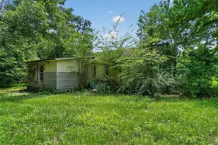 119 Chambliss Rd, Havana, FL 32333 - Photo 23