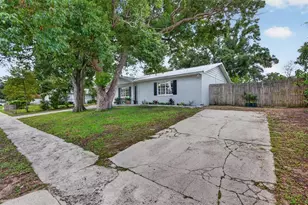 508 Cocoplum Dr, Seffner, FL 33584 - Photo 3