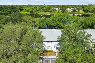 4009 Dolphin Dr, Tampa, FL 33617 - Photo 33