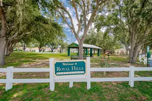 535 Scarlet Maple Ct, Plant City, FL 33563 - Photo 59