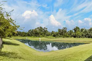 535 Scarlet Maple Ct, Plant City, FL 33563 - Photo 45