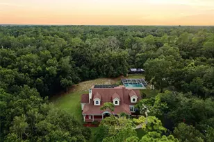 3407 Flagstaff Cir, Wimauma, FL 33598 - Photo 43