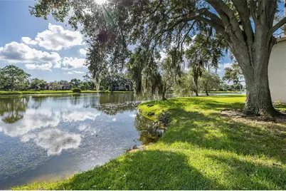 160 Lakeview Way #160, Oldsmar, FL 34677 - Photo 27