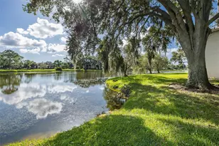 160 Lakeview Way, Oldsmar, FL 34677 - Photo 27