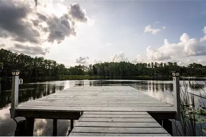 21864 Pineywood Loop, Land O Lakes, FL 34639 - Photo 27