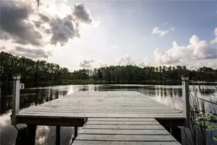 21864 Pineywood Loop, Land O Lakes, FL 34639 - Photo 27
