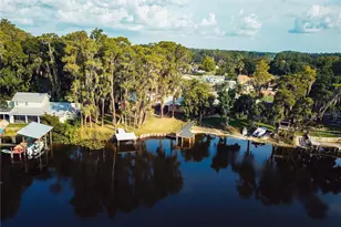 21864 Pineywood Loop, Land O Lakes, FL 34639 - Photo 5