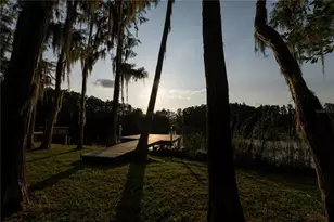 21864 Pineywood Loop, Land O Lakes, FL 34639 - Photo 29