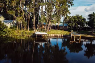 21864 Pineywood Loop, Land O Lakes, FL 34639 - Photo 7