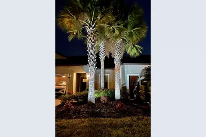 10442 Echo Dock Loop, San Antonio, FL 33576 - Photo 45