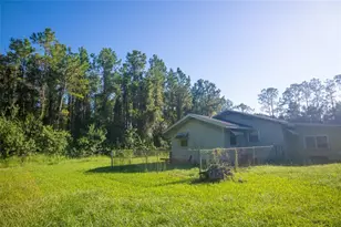 5151 Drexel Rd, Land O Lakes, FL 34638 - Photo 21