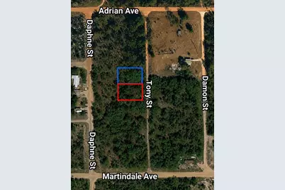 Toby Street, Interlachen, FL 32148 - Photo 1