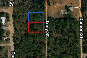 Toby St, Interlachen, FL 32148 - Photo 1