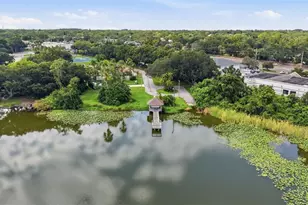 3916 Blooming Hill Ln, Palm Harbor, FL 34684 - Photo 43