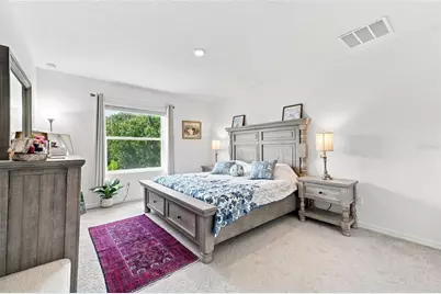 32898 Pez Landing Lane, Wesley Chapel, FL 33543 - Photo 21
