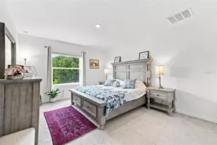 32898 Pez Landing Ln, Wesley Chapel, FL 33543 - Photo 21
