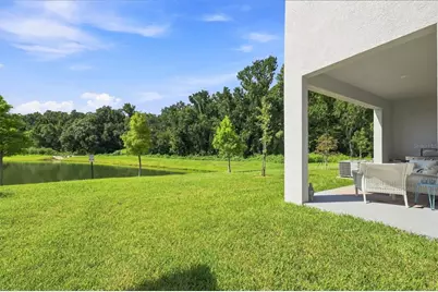 32898 Pez Landing Lane, Wesley Chapel, FL 33543 - Photo 27