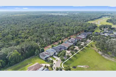 14242 Blue Dasher Drive, Riverview, FL 33569 - Photo 53