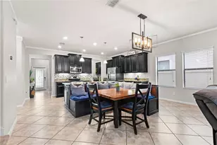 14242 Blue Dasher Dr, Riverview, FL 33569 - Photo 13