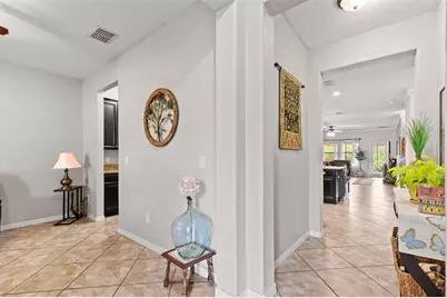 14242 Blue Dasher Drive, Riverview, FL 33569 - Photo 7