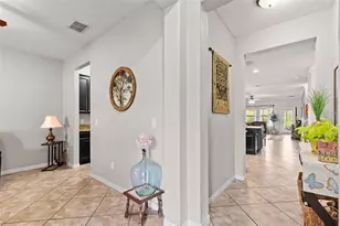 14242 Blue Dasher Dr, Riverview, FL 33569 - Photo 7