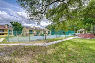 8711 Fancy Finch Dr, Tampa, FL 33614 - Photo 23