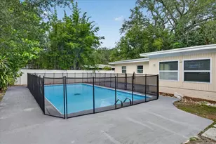 615 5th Ave N, Safety Harbor, FL 34695 - Photo 35