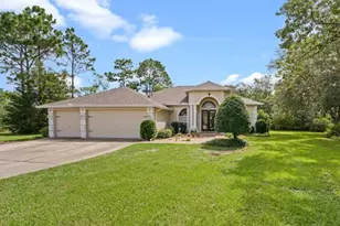 1 Colubrina Ct, Homosassa, FL 34446 - Photo 1