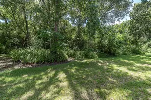 2866 Countrybrook Dr, Palm Harbor, FL 34684 - Photo 27