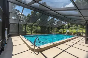 2866 Countrybrook Dr, Palm Harbor, FL 34684 - Photo 31