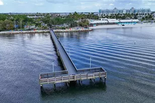1071 Seagrape Dr, Ruskin, FL 33570 - Photo 49