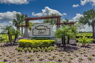 12720 Tahitian Pearl, Parrish, FL 34219 - Photo 59