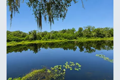 2625 State Road 590 #1123, Clearwater, FL 33759 - Photo 15