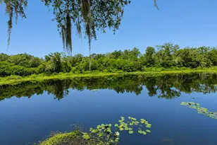 2625 State Road 590, Clearwater, FL 33759 - Photo 15