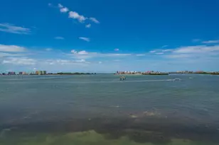 55 Rogers St, Clearwater, FL 33756 - Photo 21