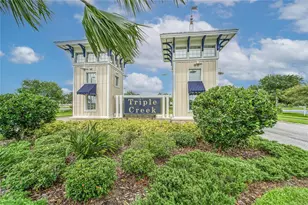 13517 Texas Sage Pl, Riverview, FL 33579 - Photo 55