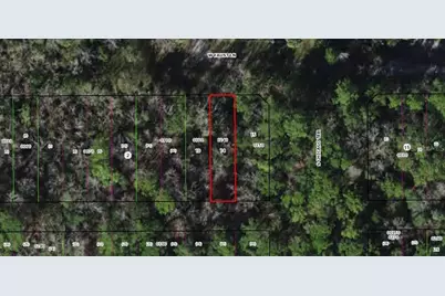 8714 W Faust Lane, Homosassa, FL 34448 - Photo 1