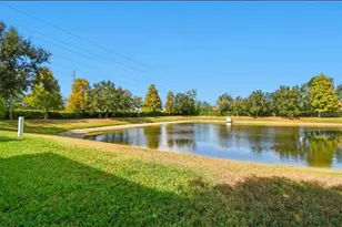 2520 Colony Reed Ln, Clearwater, FL 33763 - Photo 21