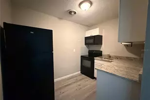 808 Palm Bluff St, Clearwater, FL 33755 - Photo 3
