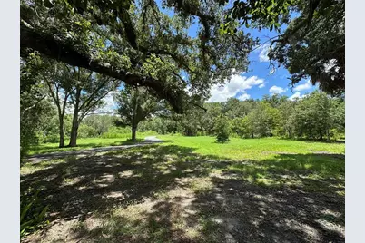 1676 Hermosa Drive, Palm Harbor, FL 34683 - Photo 1