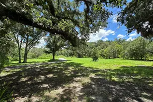 1676 Hermosa Dr, Palm Harbor, FL 34683 - Photo 1