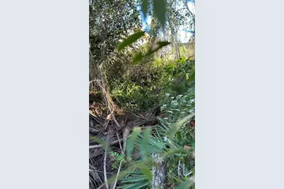 1676 Hermosa Drive, Palm Harbor, FL 34683 - Photo 25