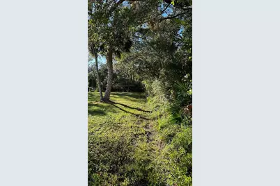 1676 Hermosa Drive, Palm Harbor, FL 34683 - Photo 33