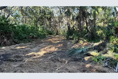 1676 Hermosa Drive, Palm Harbor, FL 34683 - Photo 61