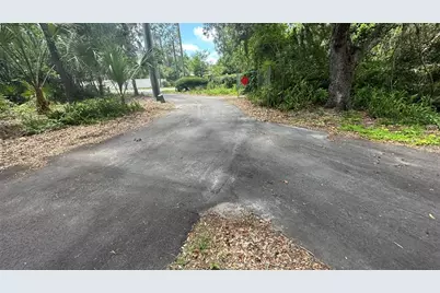 1676 Hermosa Drive, Palm Harbor, FL 34683 - Photo 89