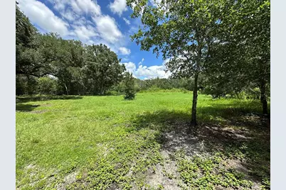 1676 Hermosa Drive, Palm Harbor, FL 34683 - Photo 3